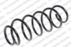 LESJ?FORS 4200716 Coil Spring